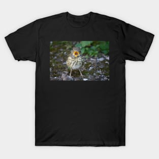 Little Mistle Thrush T-Shirt